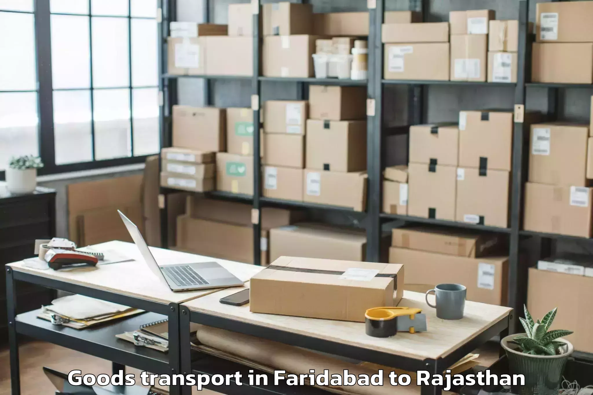 Book Faridabad to Asind Goods Transport Online